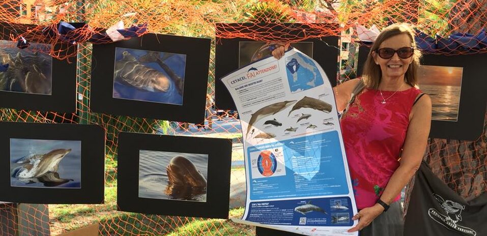 il poster di CetaceiFAIattenzione
