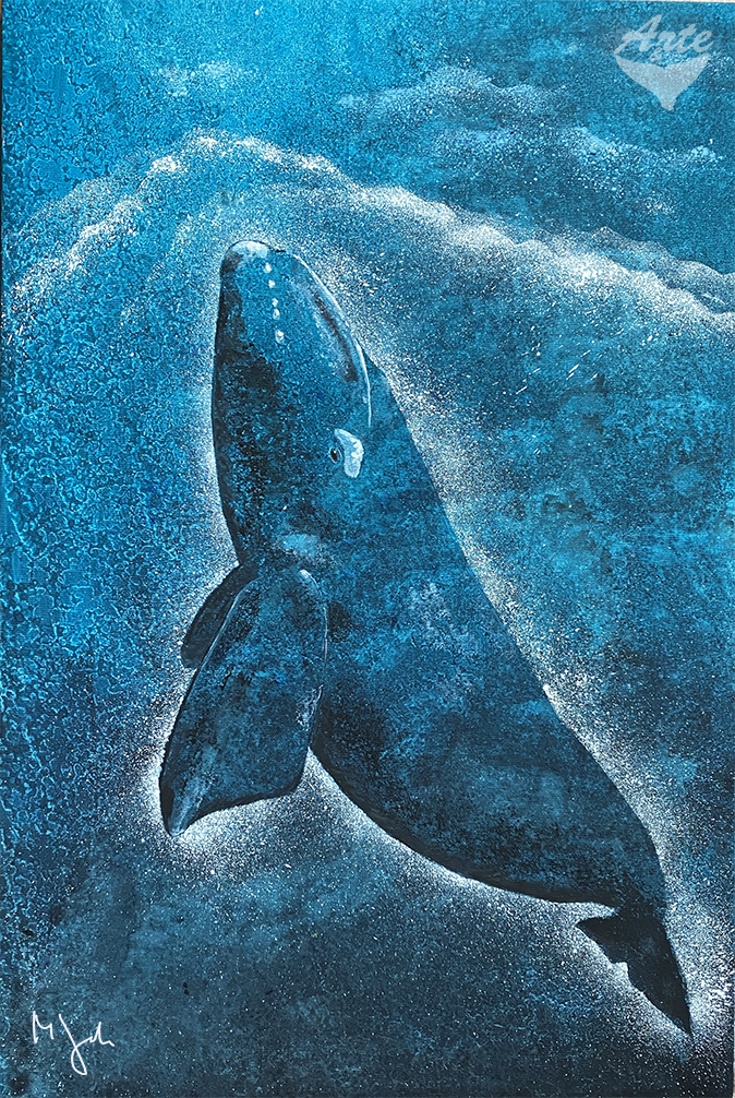 balena franca dipinta
